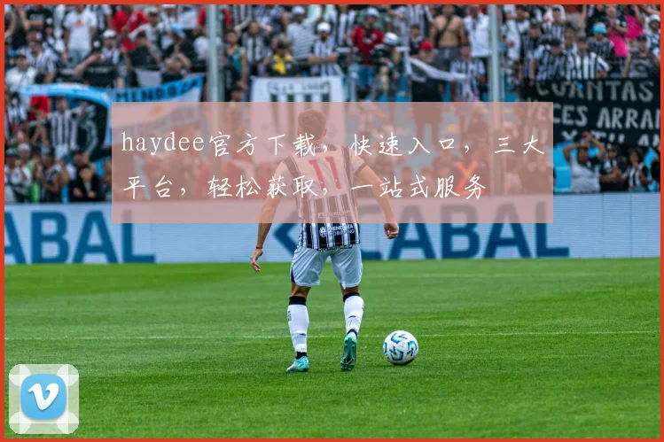 haydee官方下载，快速入口，三大平台，轻松获取，一站式服务