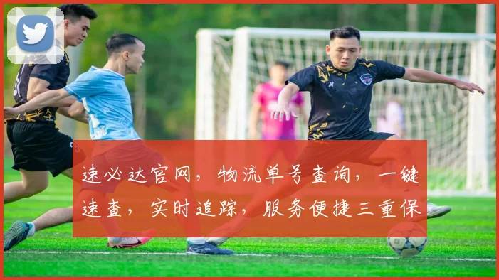 速必达官网，物流单号查询，一键速查，实时追踪，服务便捷三重保障，轻松掌握