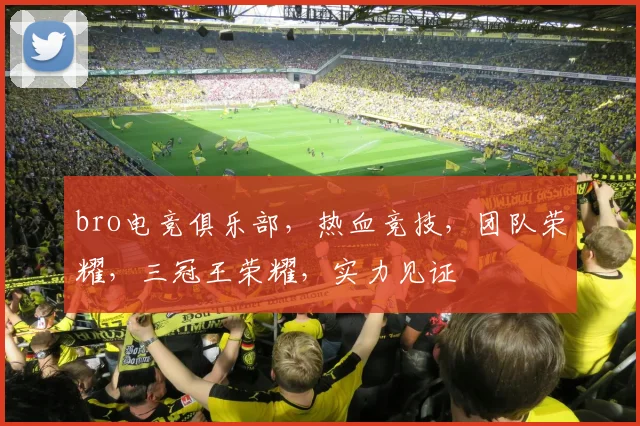 bro电竞俱乐部，热血竞技，团队荣耀，三冠王荣耀，实力见证